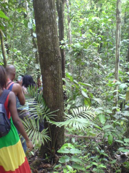 Plan rivi�re in gwada